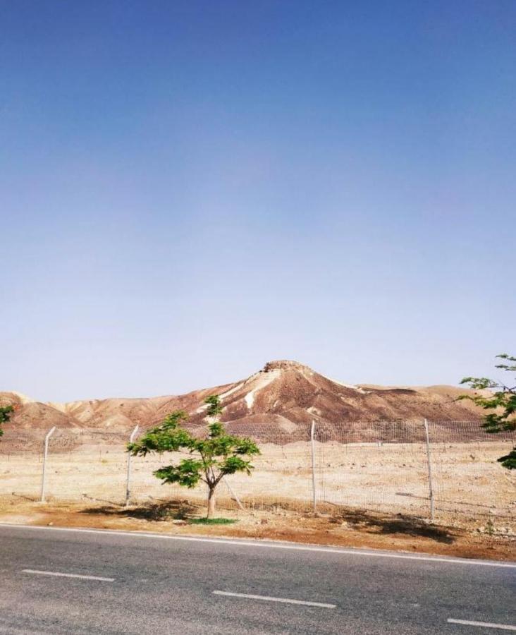 אלת המדברgoddess Of The Desert Be'er Ora エクステリア 写真